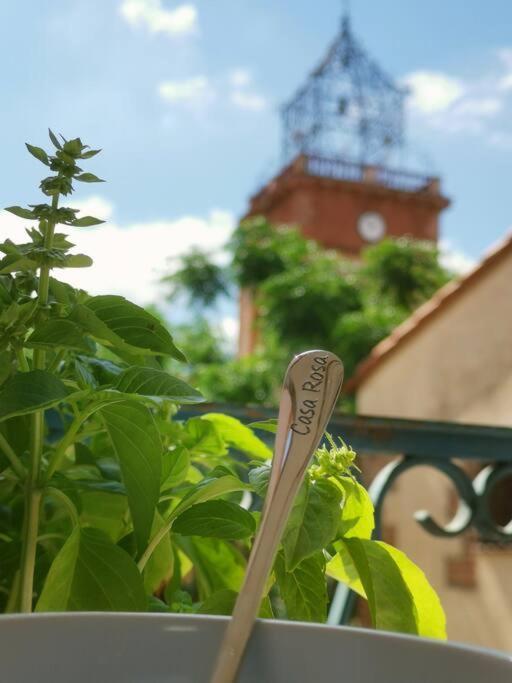 Casa Rosa, Un Petit Cocon Catalan Villa Ortaffa Dış mekan fotoğraf