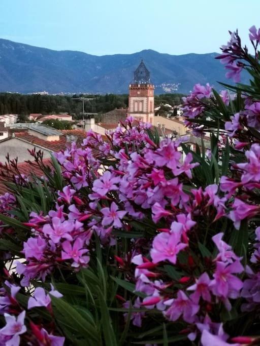 Casa Rosa, Un Petit Cocon Catalan Villa Ortaffa Dış mekan fotoğraf