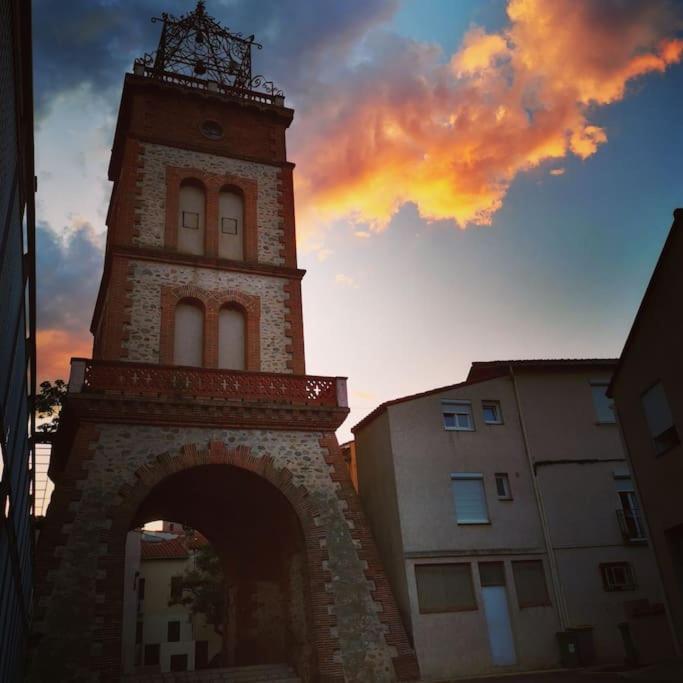 Casa Rosa, Un Petit Cocon Catalan Villa Ortaffa Dış mekan fotoğraf
